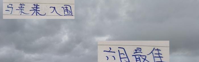 kaiyun-前申花名宿马莱莱跟 现申花核心10号特谢拉 一起入围六月最佳评选