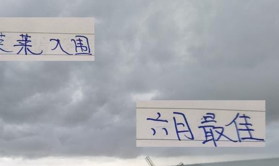 kaiyun-前申花名宿马莱莱跟 现申花核心10号特谢拉 一起入围六月最佳评选